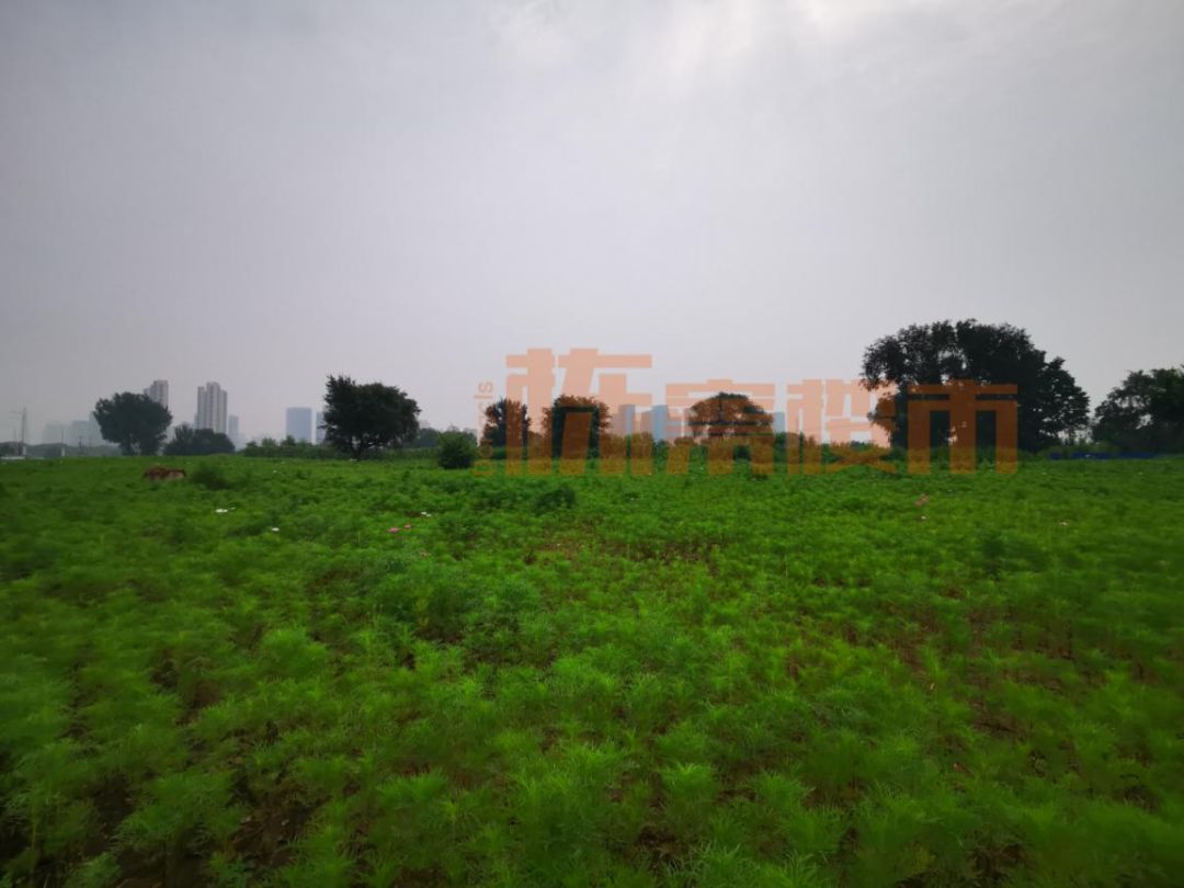 沈阳地王最新消息,沈阳2018地王