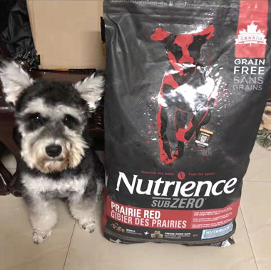 家有狗子,家有狗子视频完整版