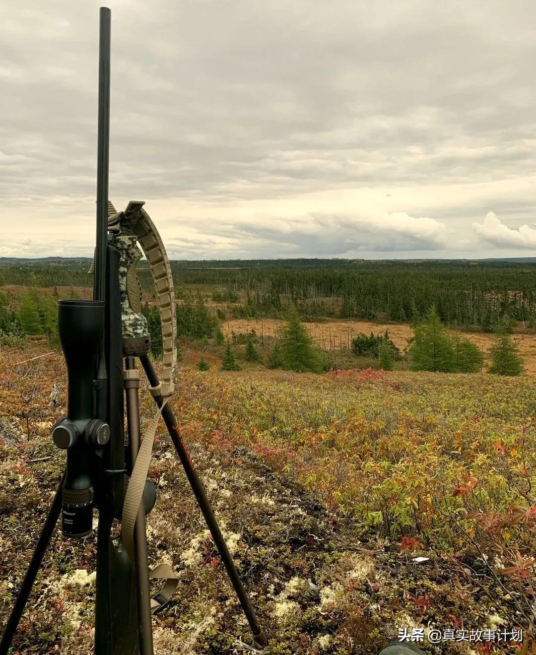 故事卖房的背后,卖掉北京房子真实故事
