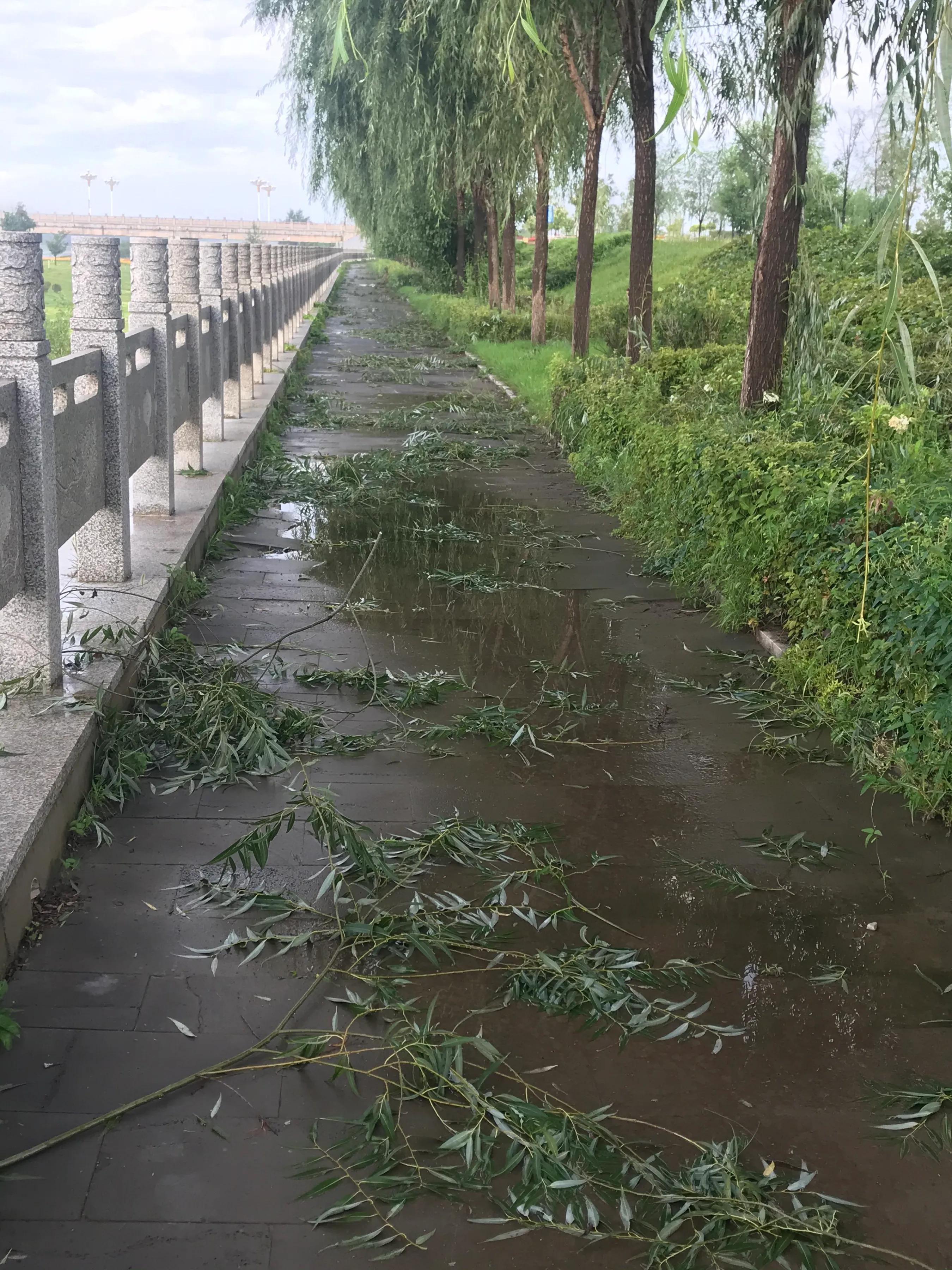 辉南街早市开了吗,辉南朝阳镇早市开门营业时间