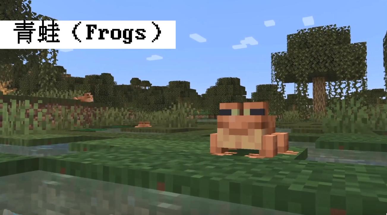 我的世界荒野更新宣传图,我的世界青蛙更新