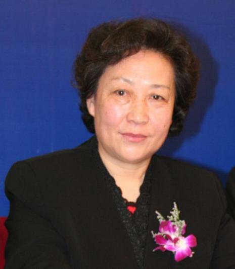 2023道医学术交流大会,2017中医养生交流会