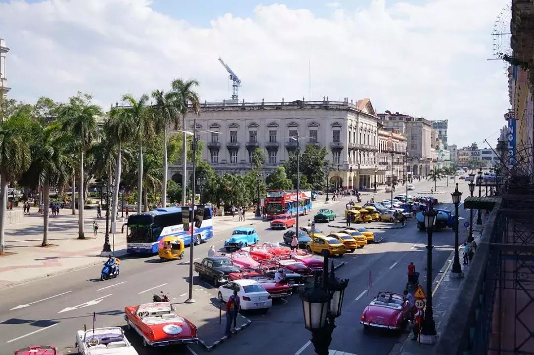 国航金卡和白金卡待遇区别,星空联盟金卡和国航金卡区别