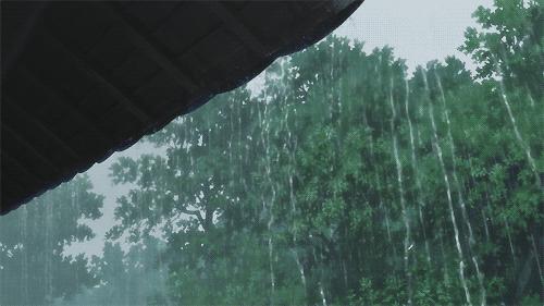 初夏听雨完整版,初夏听雨诗词新韵