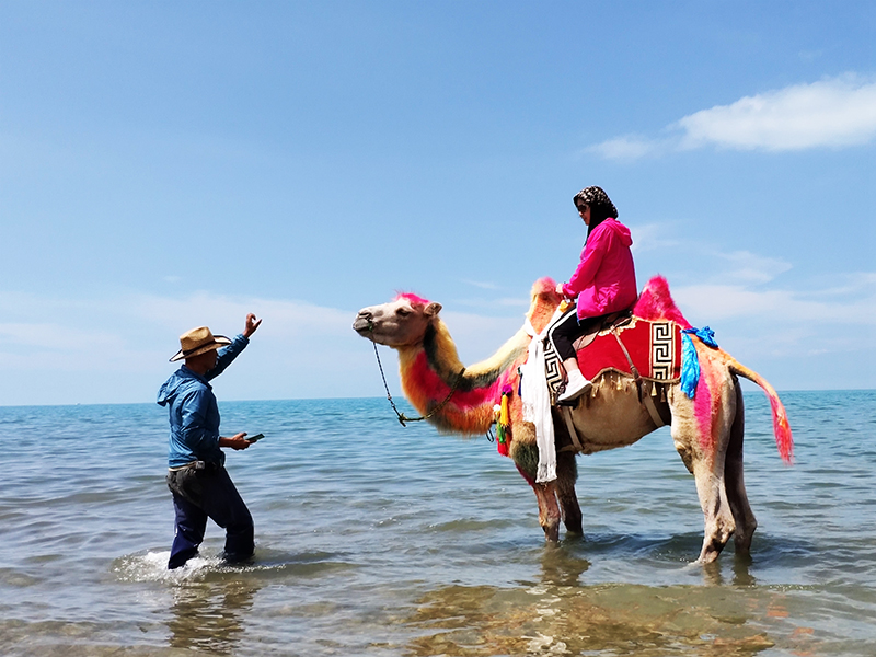茶卡盐湖天空之镜离青海湖多远,大西北茶卡盐湖翡翠湖