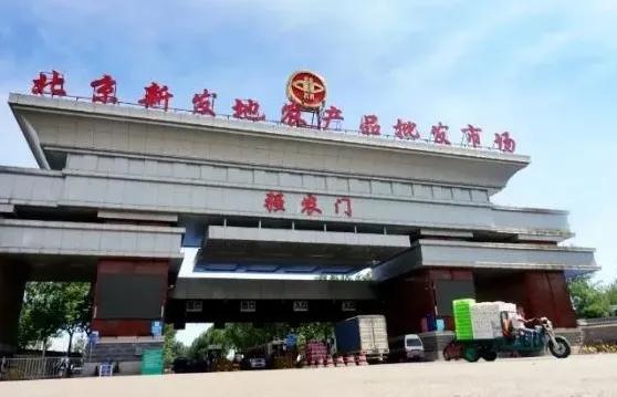 进口三文鱼与国产三文鱼哪个更好,进口三文鱼海鲜