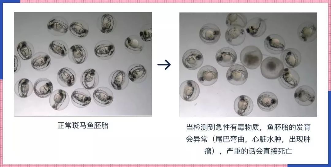 小红书性价比高的眼霜,眼霜40+测评推荐