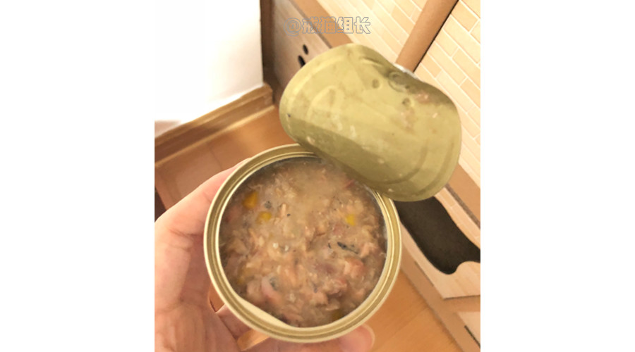 猫咪的主食罐推荐,k9猫咪主食罐头测评