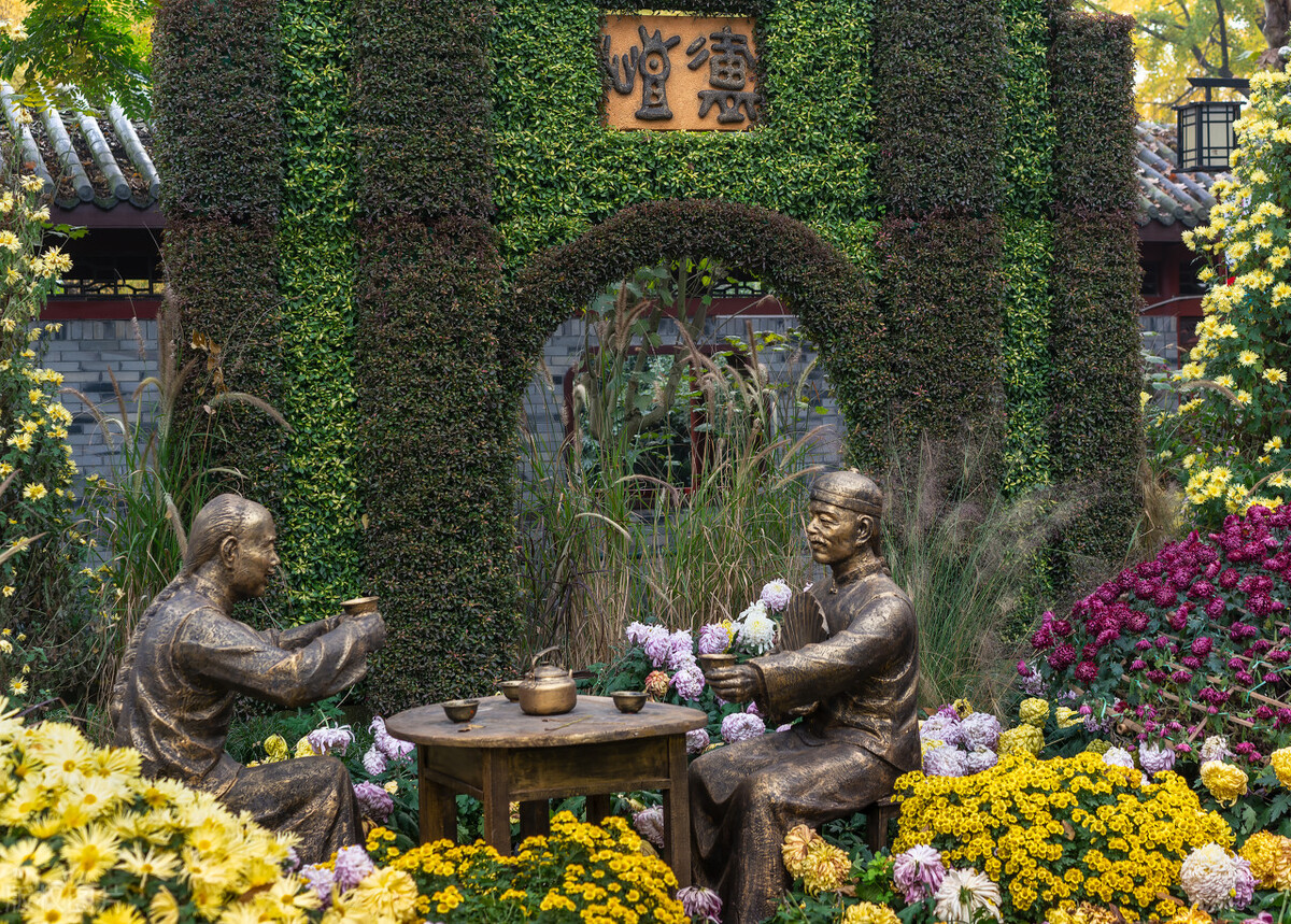 重阳节赏菊花的介绍,赏菊打卡好去处