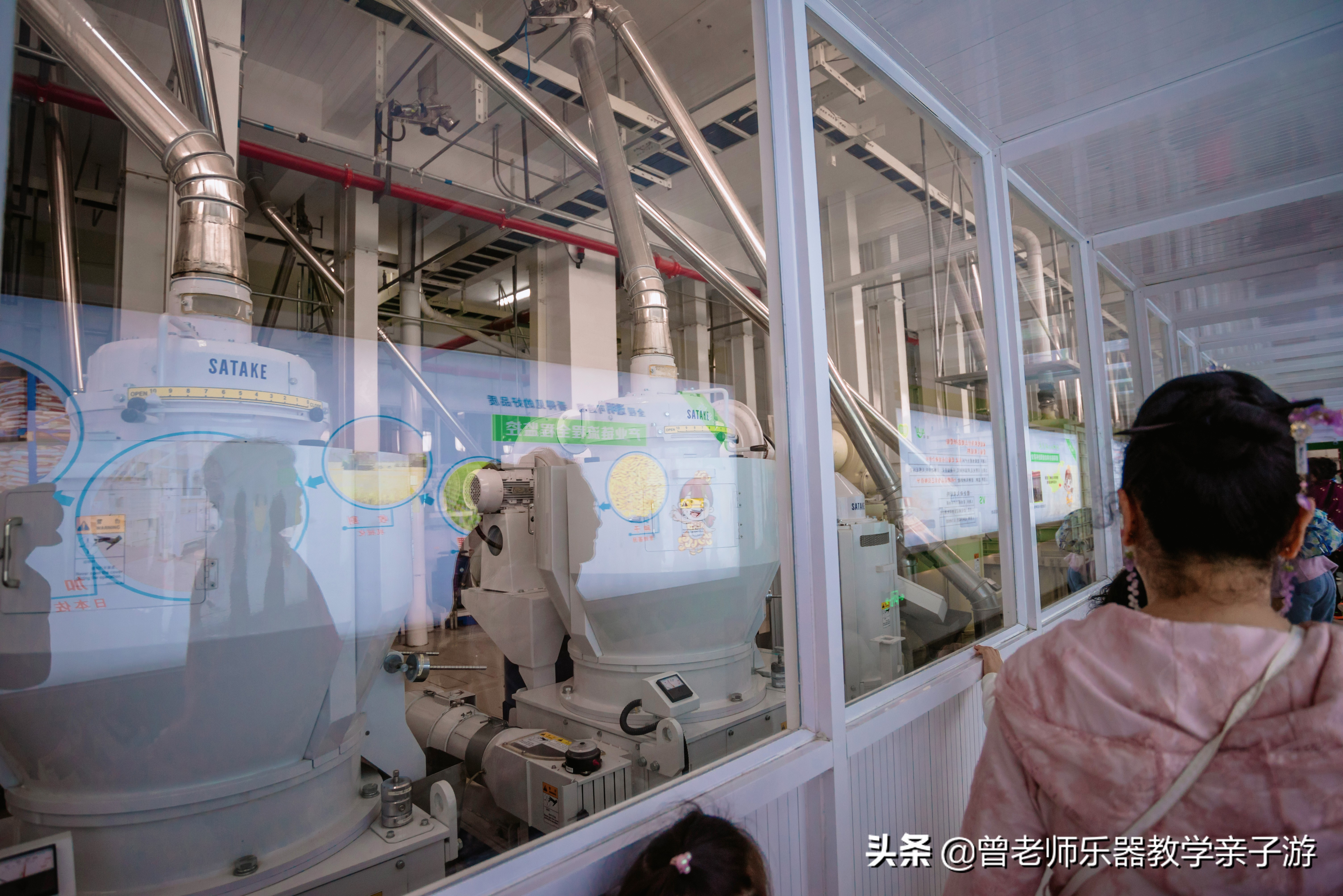 爱菊研学游,爱菊丝路文化菊花园西安