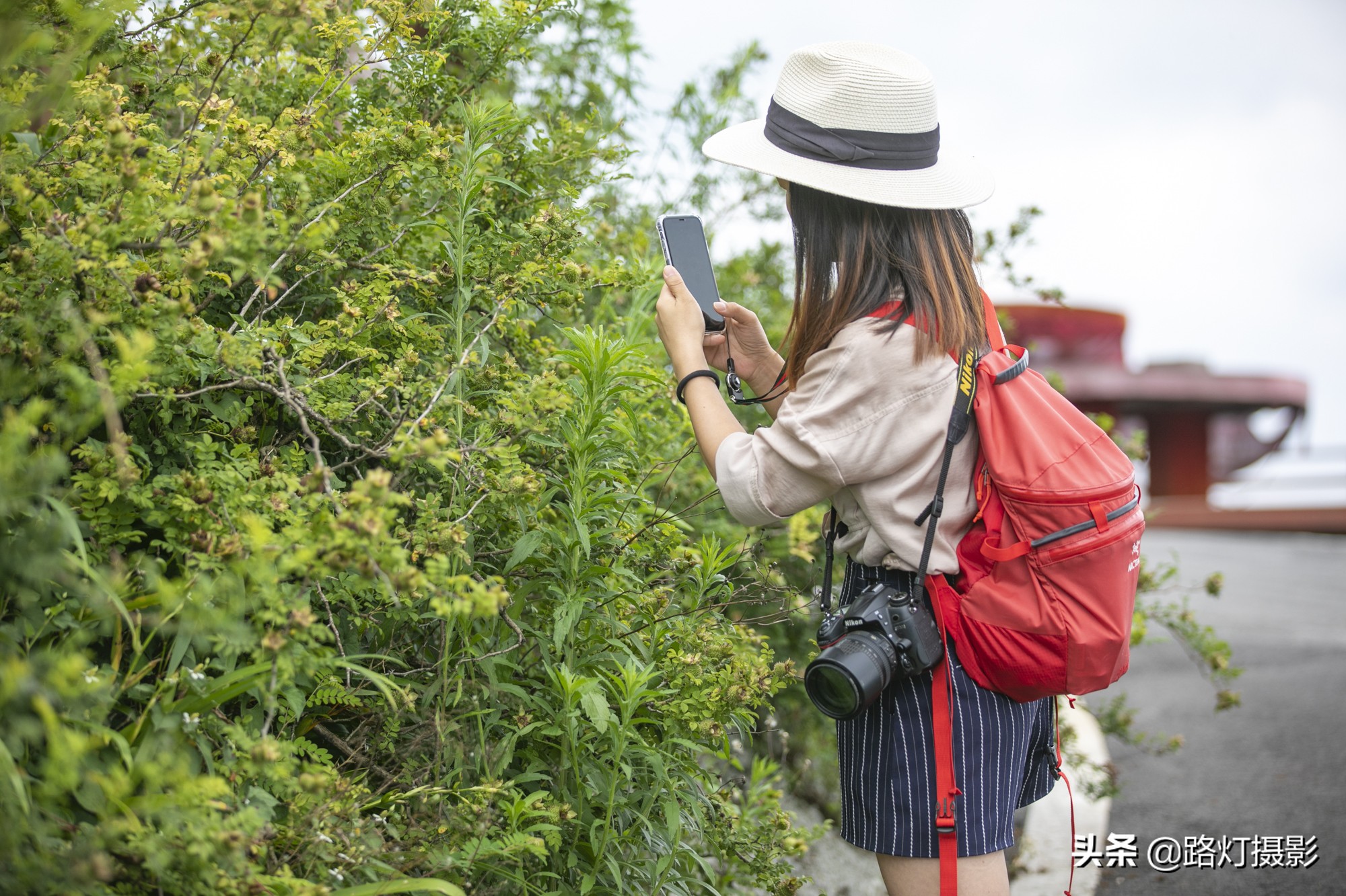 贵州这个县级市不简单，川黔要塞避暑胜地，靠一种水果跻身土豪榜