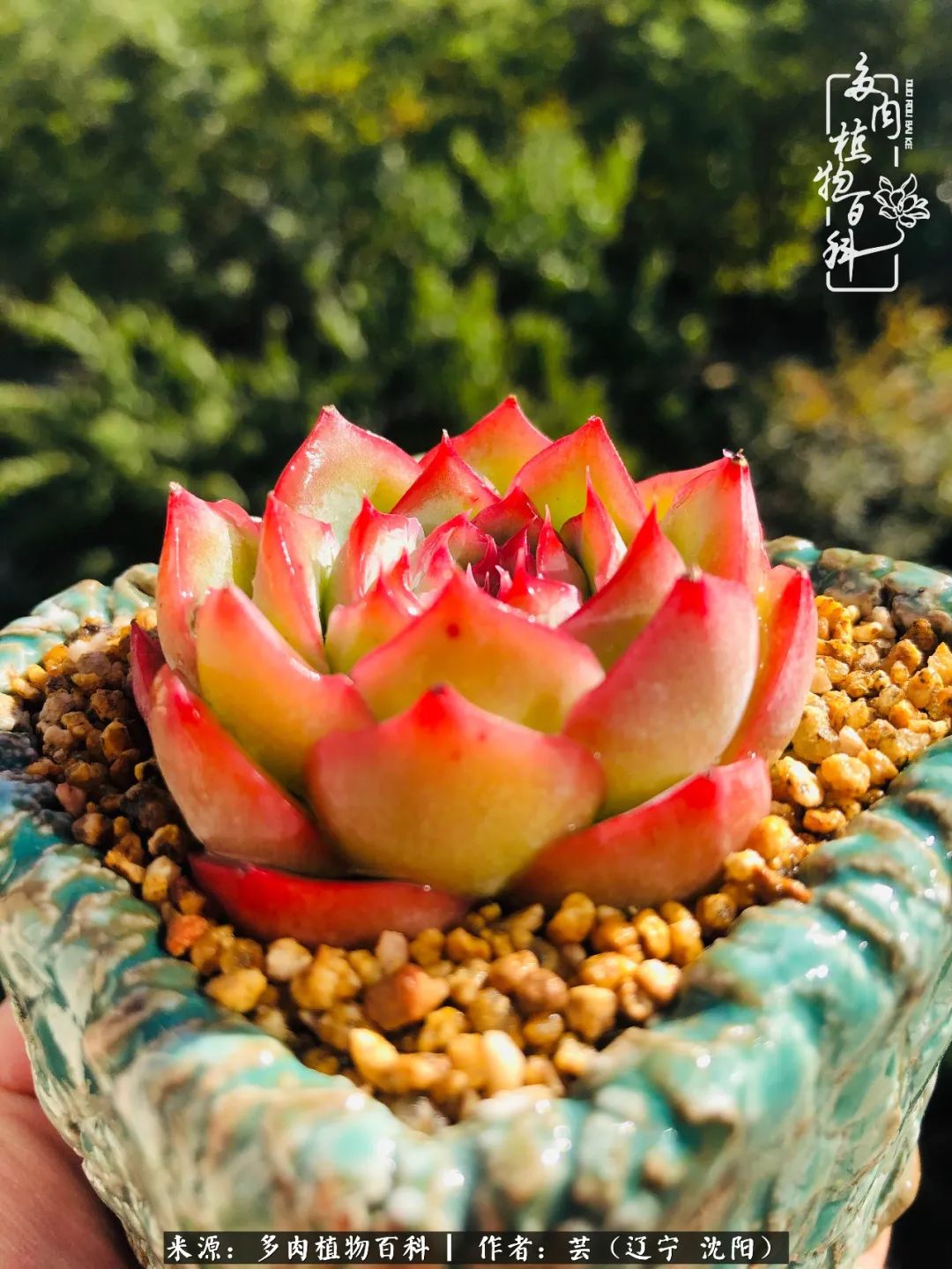 万物皆有灵性有因必有果,万物皆有灵性与生命