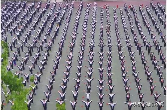 电子科大附小在成都小学排名,成都电子科大附属小学沙河校区