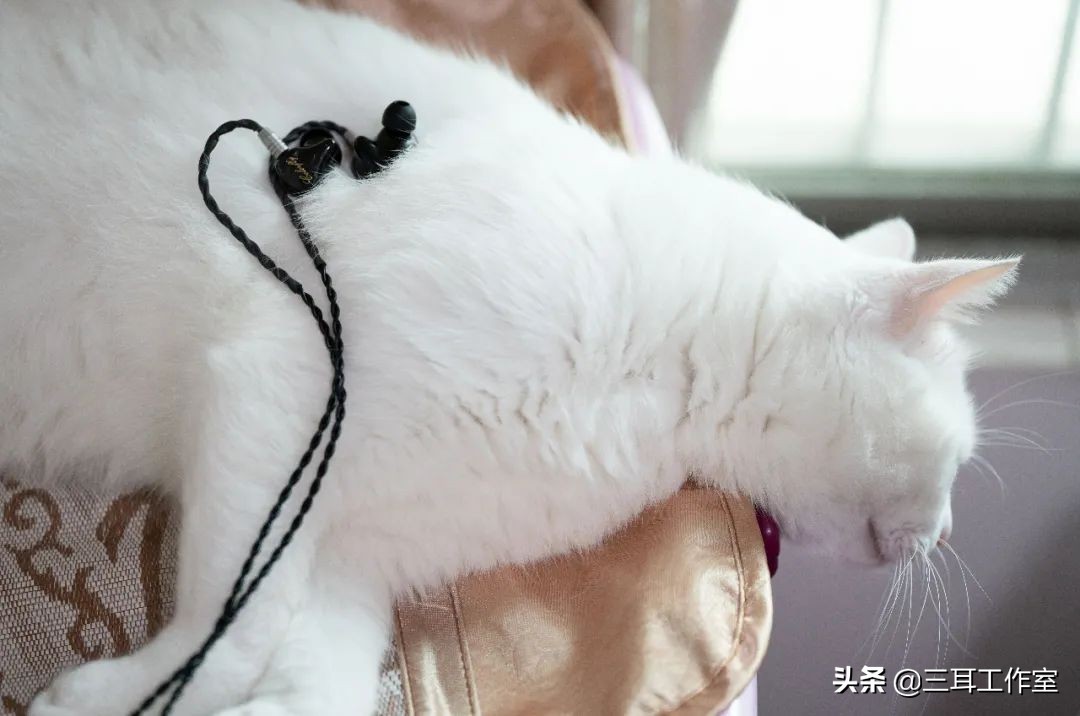 七彩虹扬声器改善,七彩虹lab