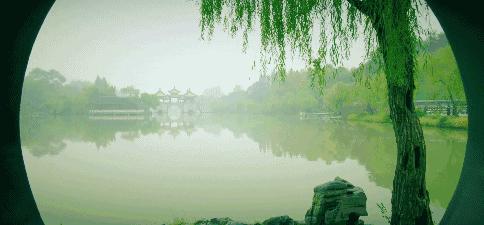 现在的半价优惠,免费半价会一起来吗