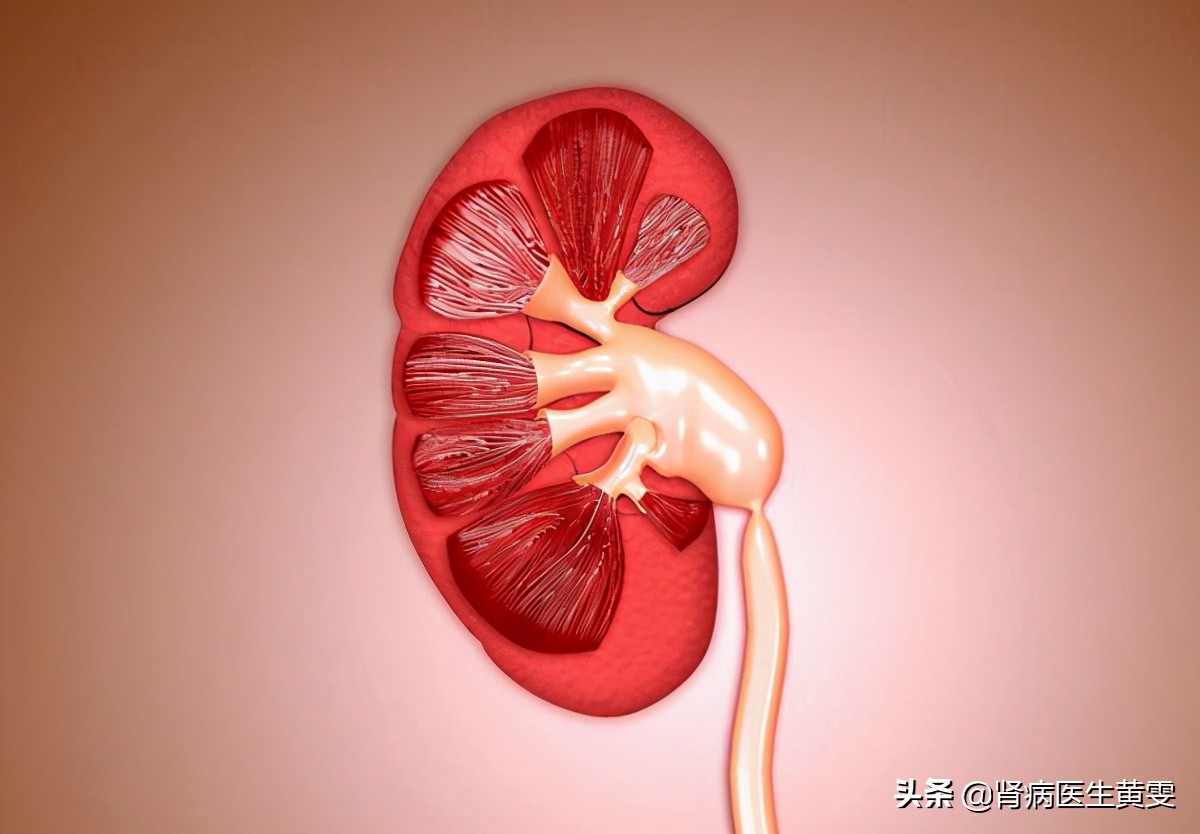 女孩肾病综合征能彻底治愈吗,妇女的肾病在中医怎么治疗