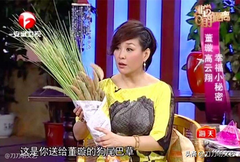 与高云翔离婚后董璇过得怎么样,董璇高云翔复婚可能性