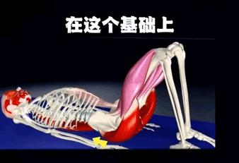 全套瑜伽图解教你练瑜伽,桥式瑜伽视频教程全套