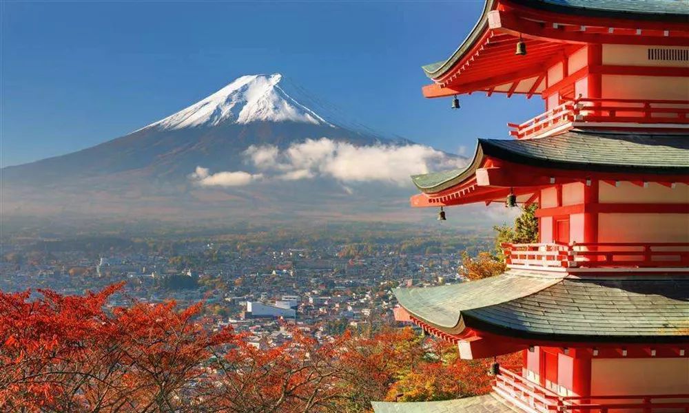 出国工作有什么好的出路,工资低无法生存怎么办