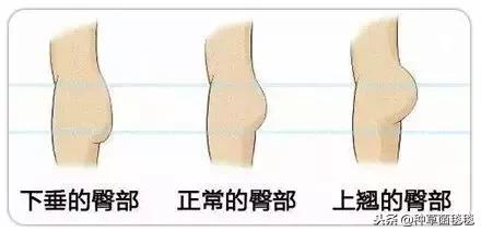 如何才能有一双长腿,如何拥有长腿