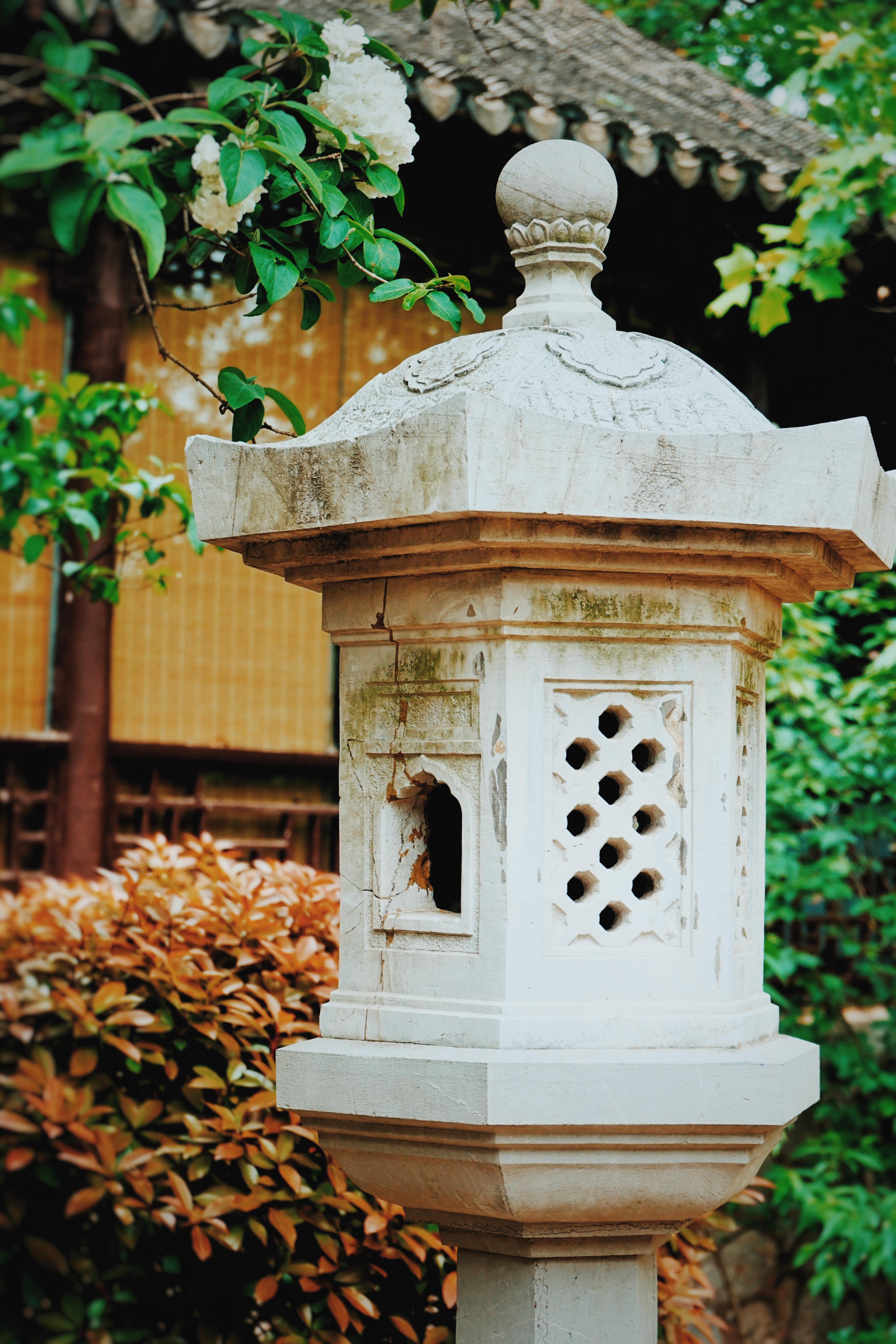 森林公园清凉山,清凉山一道美丽的风景线