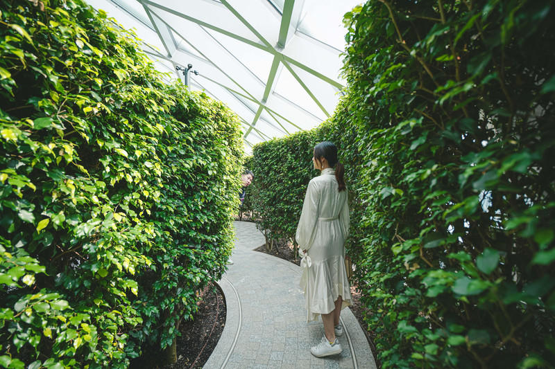 一人一猫环游,一人一猫旅行