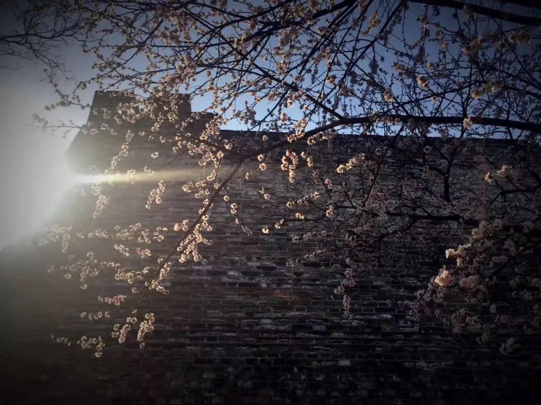 缃戝弸鍒嗕韩鍖椾含璧忚姳鎸囧崡,鍖椾含璧忚姳鎸囧崡