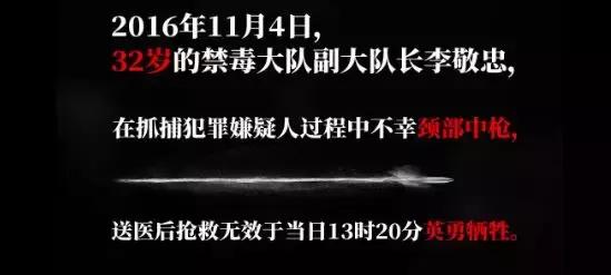 真实破冰行动牺牲了多少缉毒警,真实缉毒破冰行动