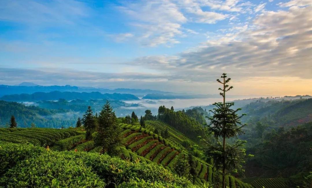 雅安旅行攻略亲子游,雅安市旅行攻略自由行路线