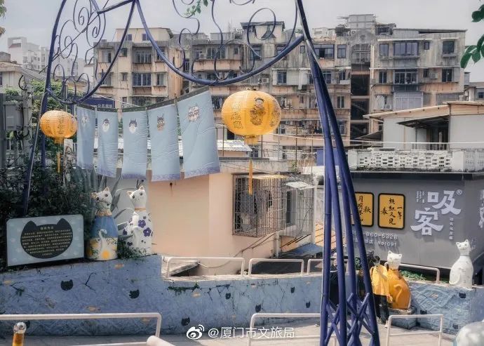 正宗厦门美食你吃过几道,厦门必吃的美食推荐