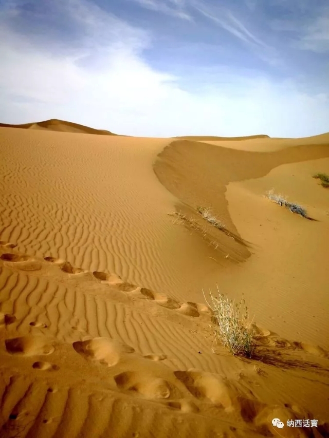 叶紫被雷劈穿越到异界,关于叶紫的穿越小说