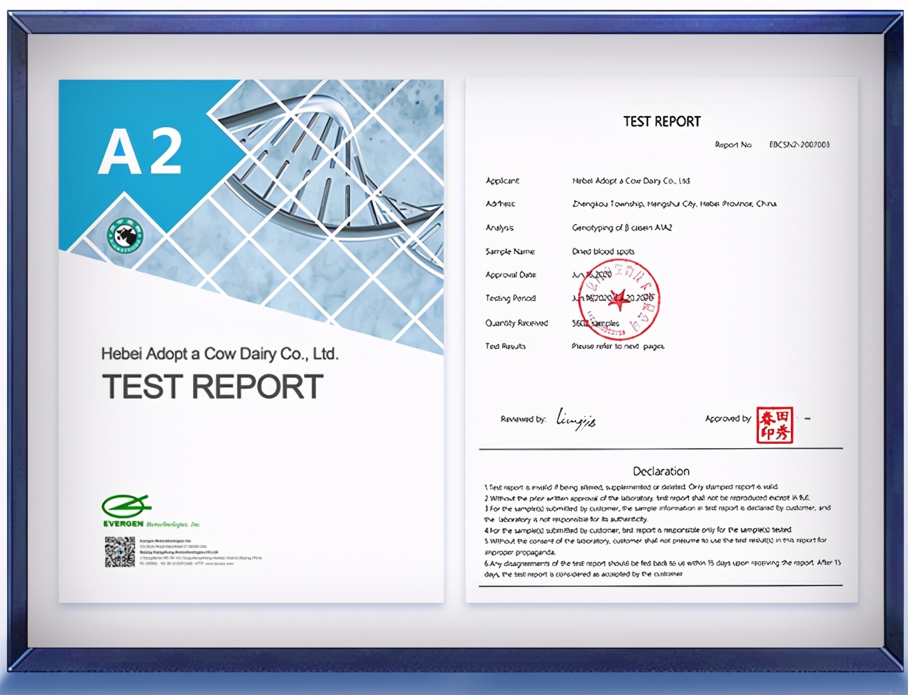 从品牌角度探讨企业经营,认养一头牛营销策略成功的原因