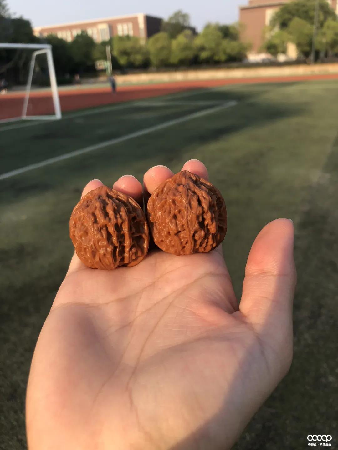 有毒！又一位宝藏小姐姐，玩核桃最爱“马虎”，朋友眼里是奇葩