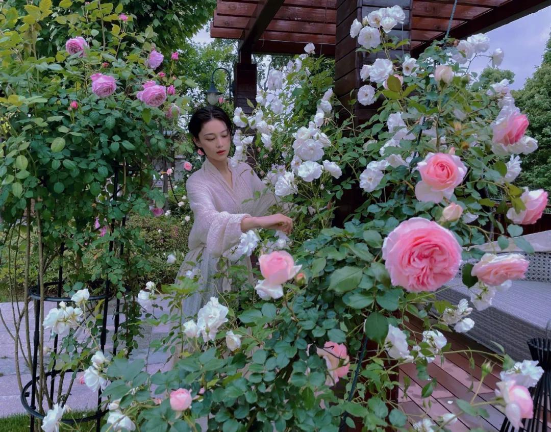 适合懒人家庭种菜100种,家里种菜这3种就够了