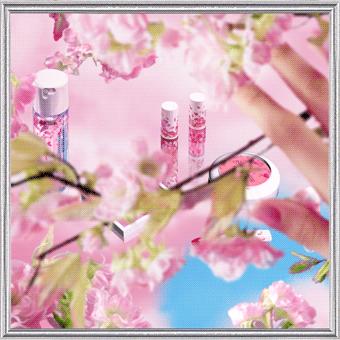 没有一个女孩，逃得过「樱花限定」四个字