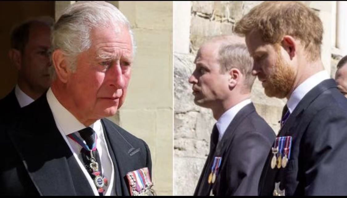 哈里梅根力挺威廉,哈里梅根回应凯特