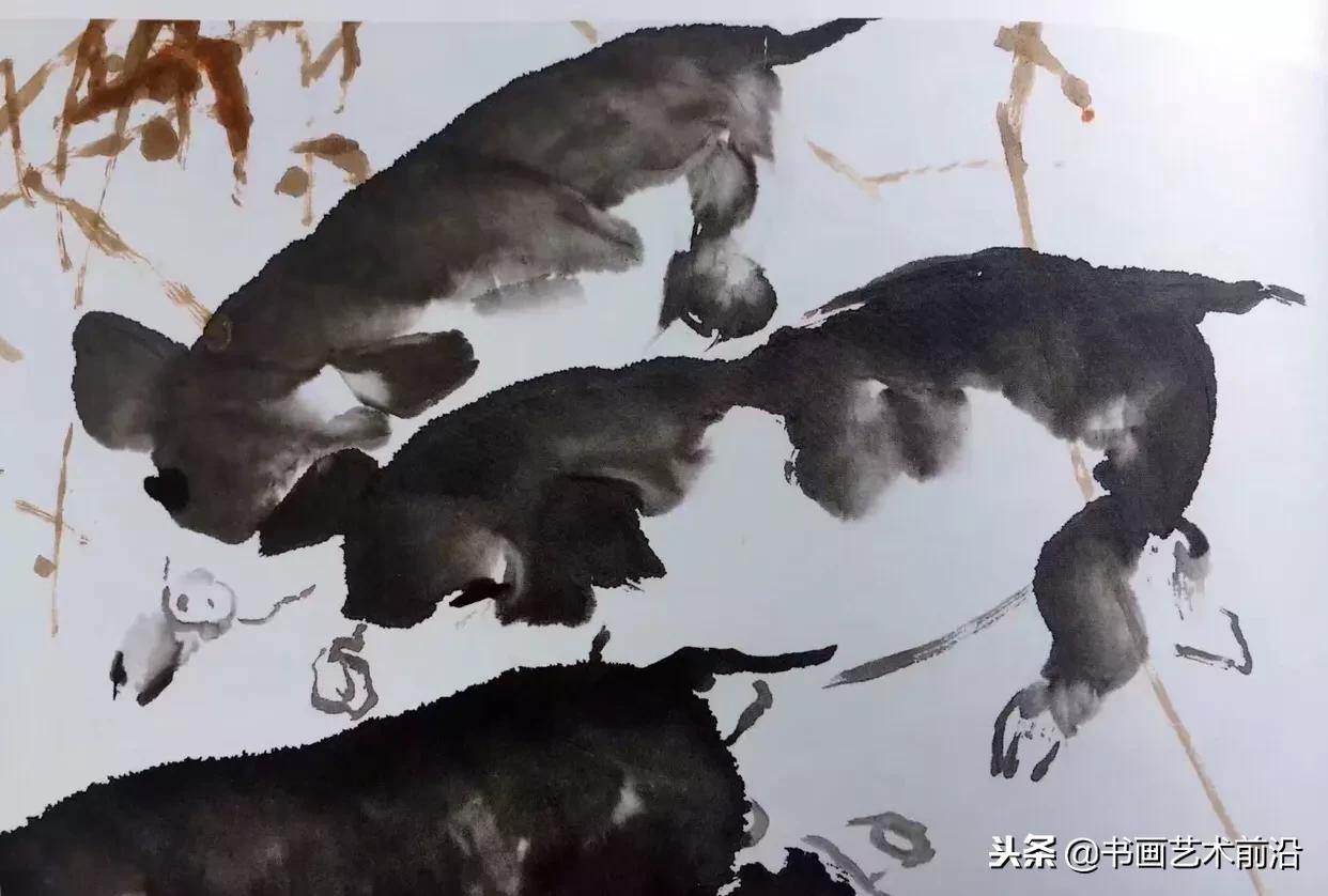 属猪的人2019年11月份运程怎么样,2019年属猪人运势免费