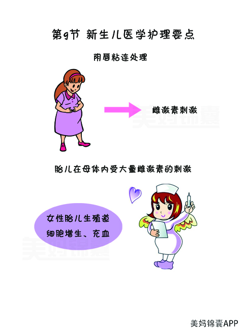 女宝宝外阴粘连怎么操作分开,宝宝外阴粘连如何分离