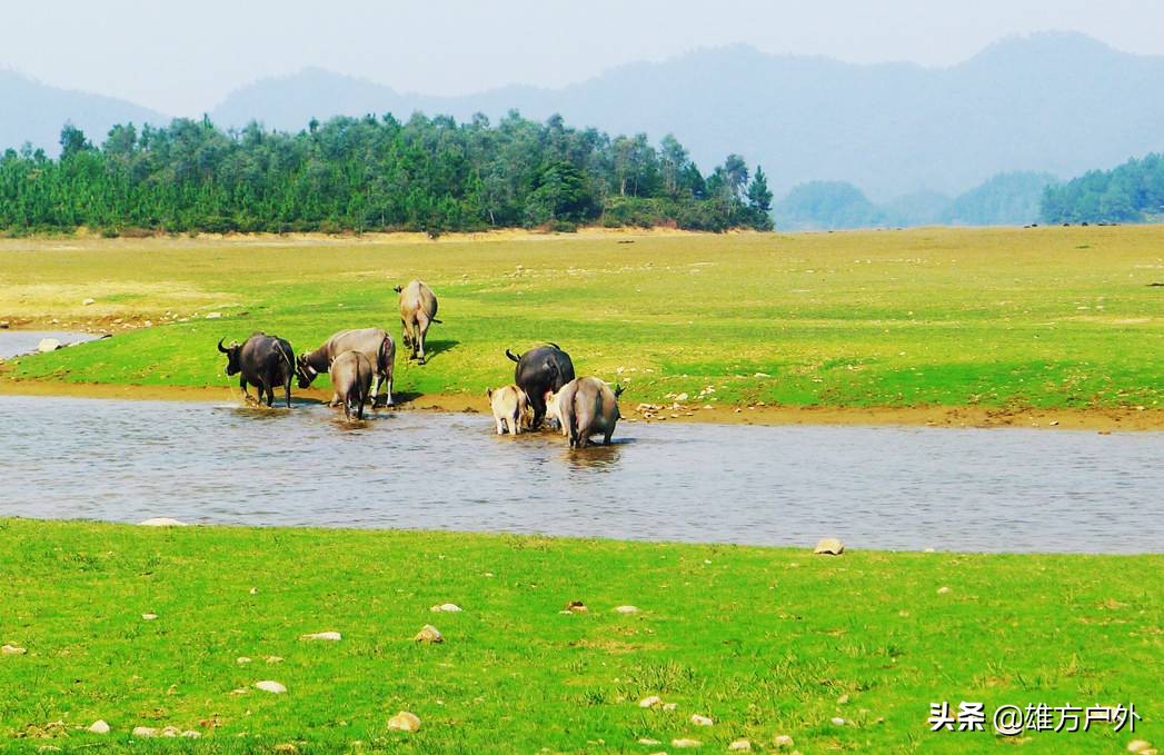 广东最美草原,藏在广东的八大草原