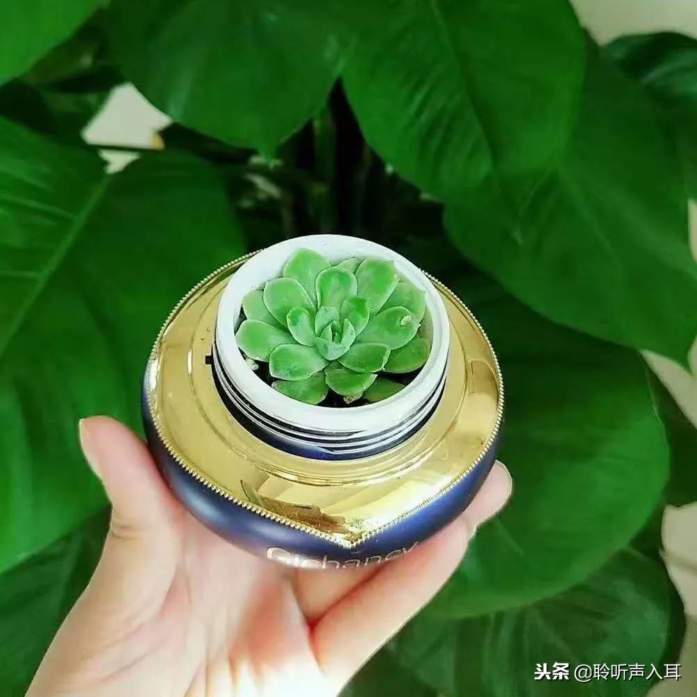 保护护肤品,保护护肤