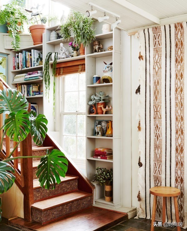 如何营造一个热带雨林花园,室内花园改造房间