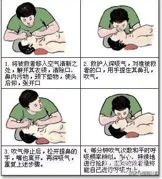 生活急救知识图片,30个生活急救小常识简短