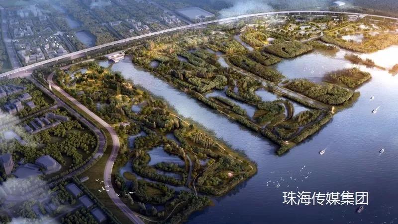 免费+湿地公园+花海栈道…珠澳市民新的休闲好去处