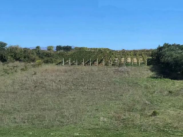 巴尔干半岛和阿尔巴尼亚,伯罗奔尼撒半岛和巴尔干半岛