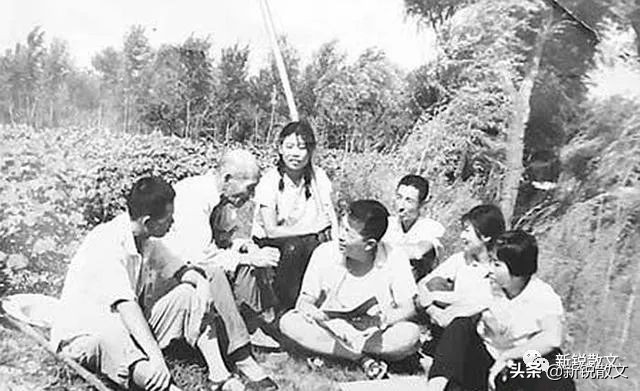 下乡做知青,回到乡下做知青的前一天