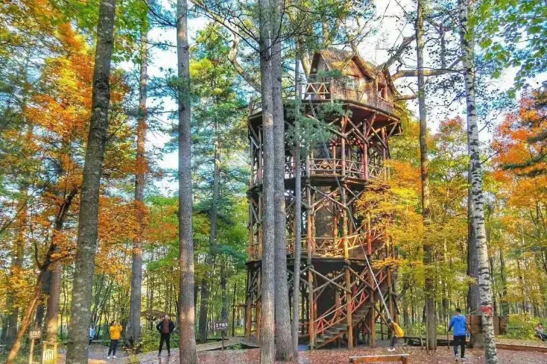 旅游景点畅玩团购,景点游玩优惠团购