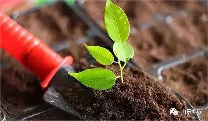 元旦起这些新规,元旦起央行有哪些新规