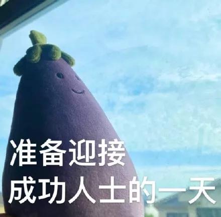 jellycat最好看的一款兔子,jellycat怎么养