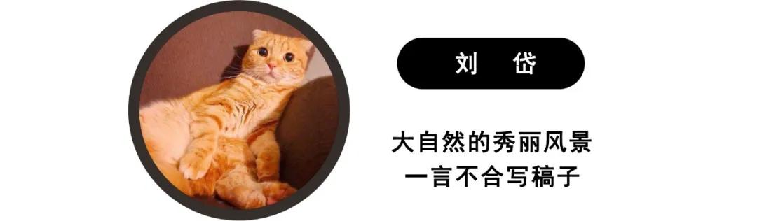 唤醒童年梦,雪佛兰畅巡米奇魔法版