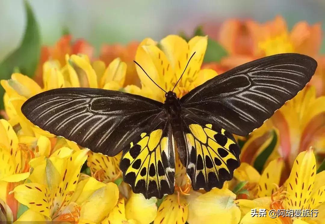 珠海最全攻略，全珠海最长的沙滩原来藏在这里
